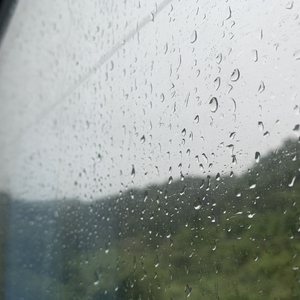 性家庭免费视频
