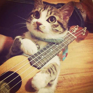 性家庭免费视频
