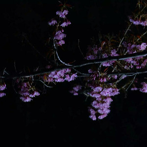 性家庭免费视频
