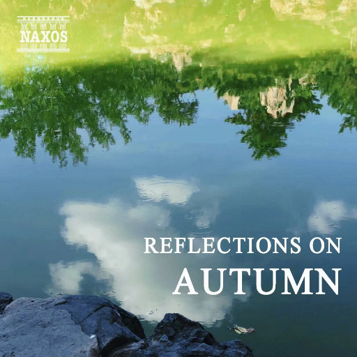 性家庭免费视频
